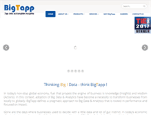 Tablet Screenshot of bigtappanalytics.com